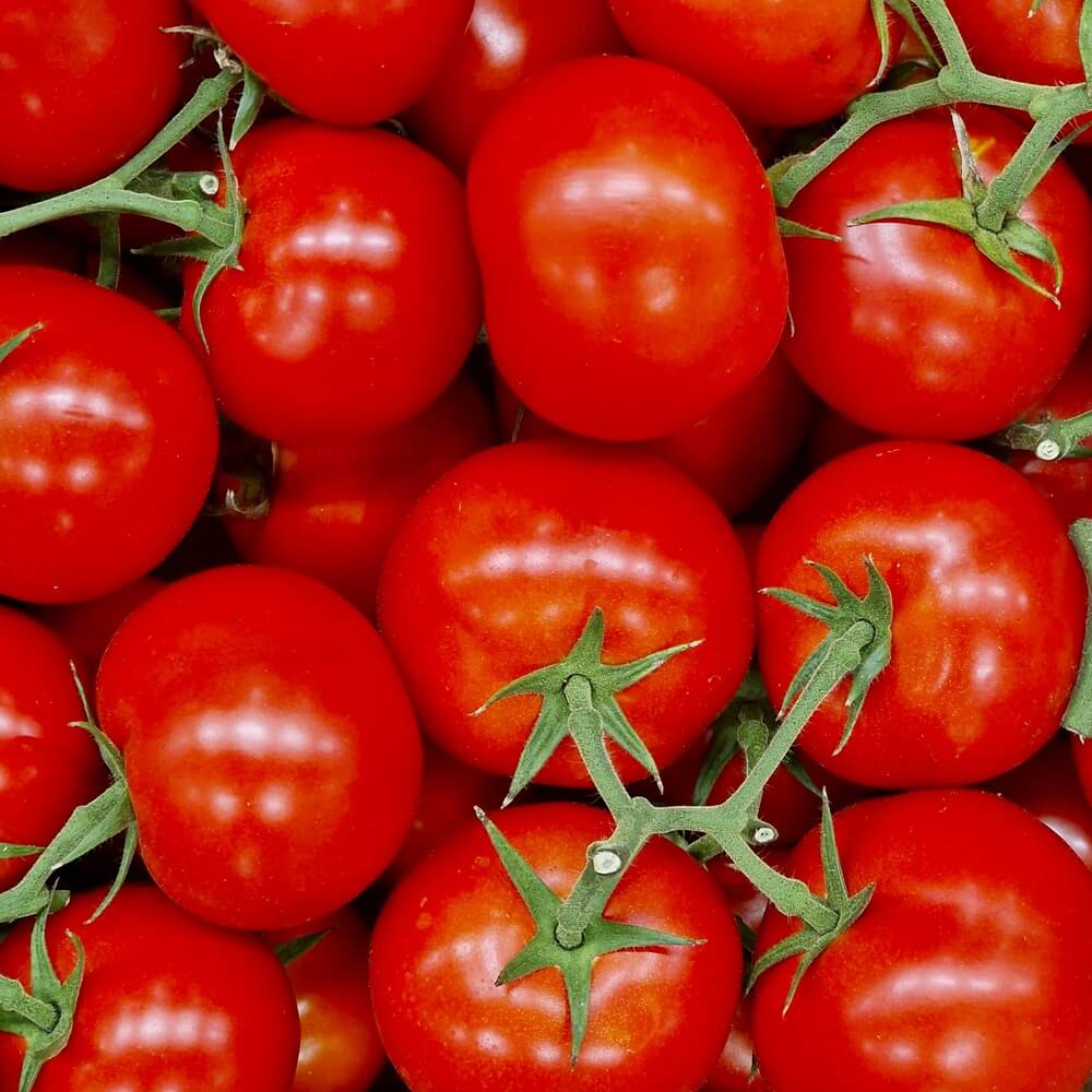 POMODORI